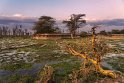 094 Amboseli Nationaal Park